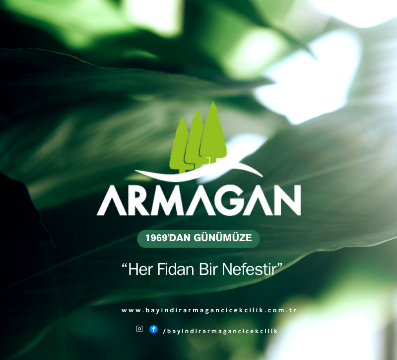 Bayındır Armağan Çiçekçilik
