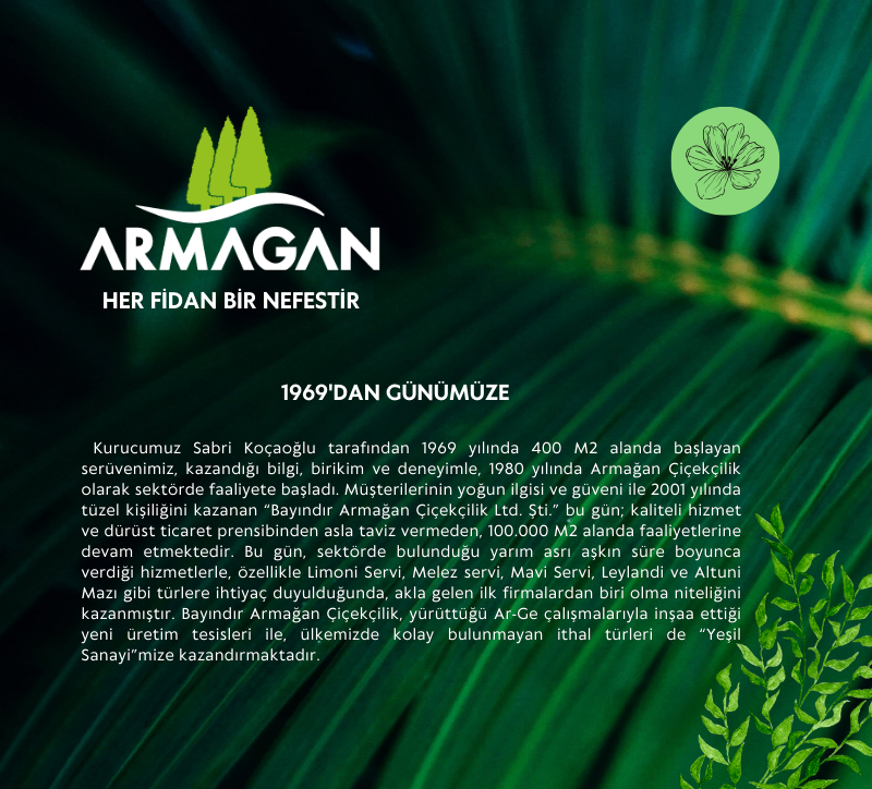 Bayındır Armağan Çiçekçilik